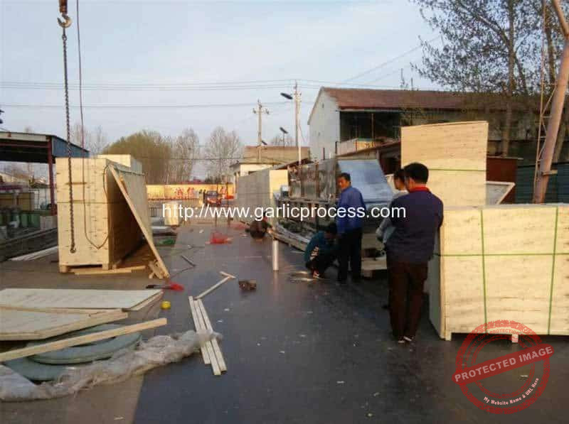 Dehydrated-Garlic-Slice-Production-Line-Plywood-Package-Making-for-Argentina-Customer